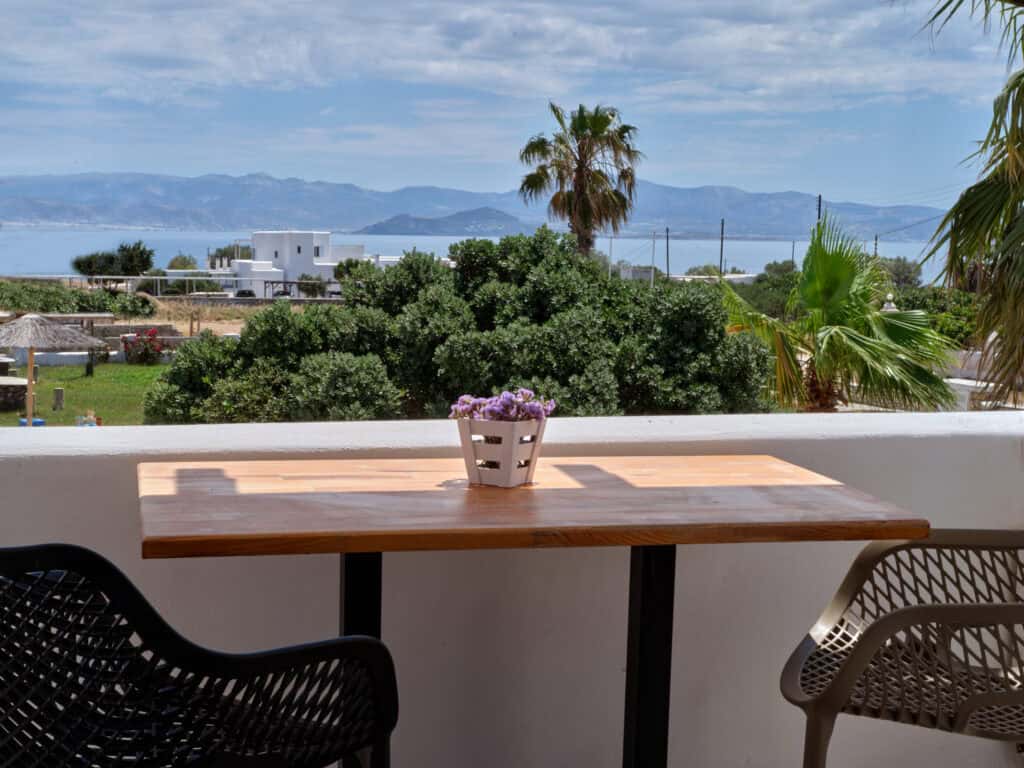 Table with flowers overlooking scenic view