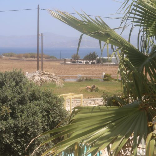 Sea-view from balcony - Aegean Grand Apartment Ambelas Paros