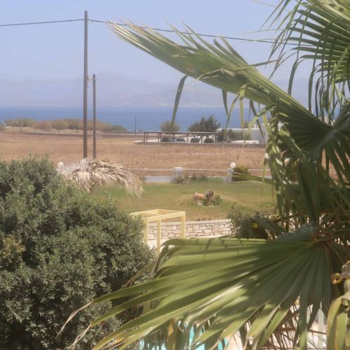 Sea-view from balcony - Aegean Grand Apartment Ambelas Paros