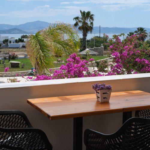 family apartment in Ambelas Paros near Naoussa