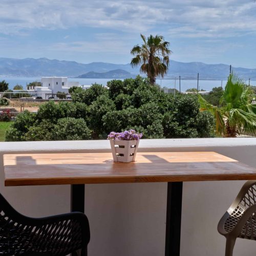Table with flowers overlooking scenic view